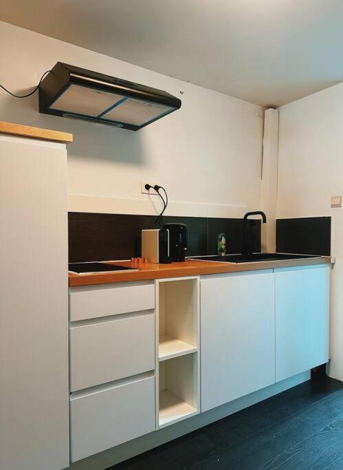 Historic Serenity Appartement Gand